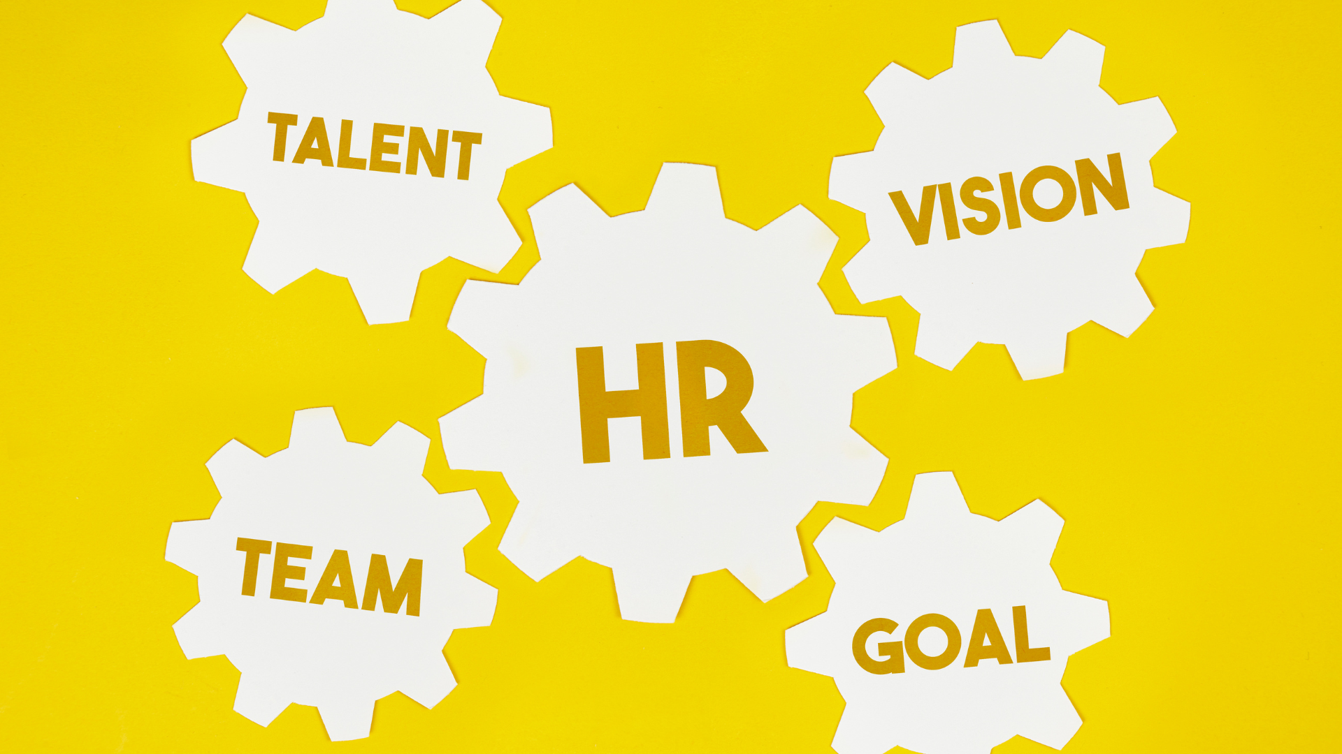 Hr software solutions what to look for in 2025 skyhr